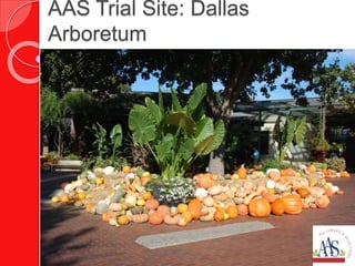 AAS Trial Site: Dallas
Arboretum
 