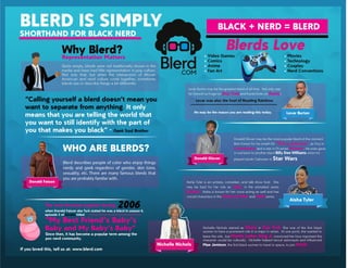 What is a Blerd?