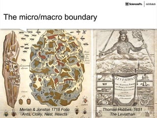 The micro/macro boundary
Merian & Jonston 1718 Folio
Ants, Clony, Nest, Insects
Thomas Hobbes, 1651
The Leviathan
 