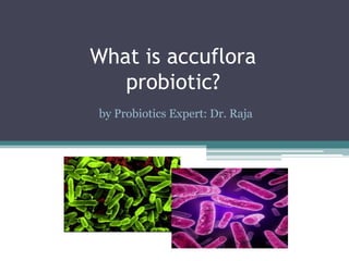 What is accuflora
probiotic?
by Probiotics Expert: Dr. Raja
 