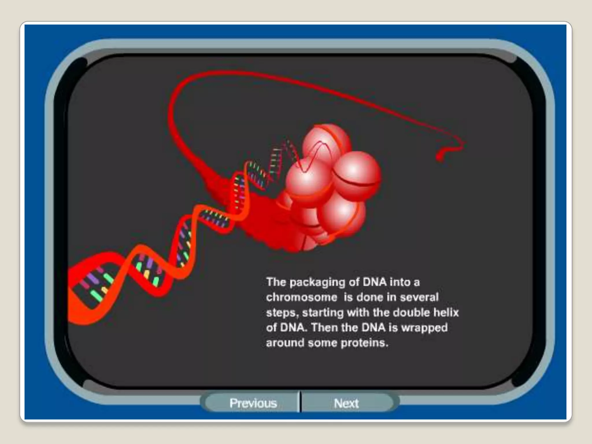 What is a chromosome anyway