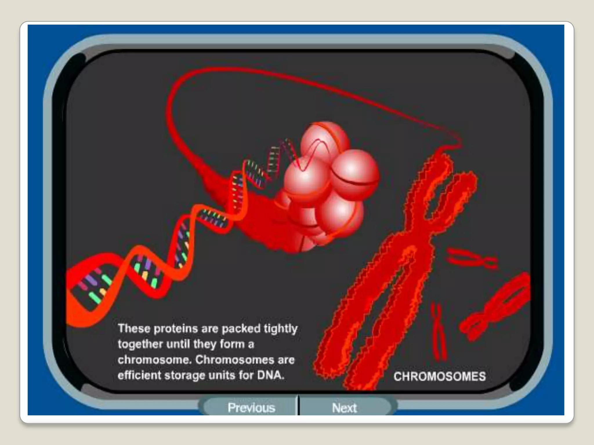 What is a chromosome anyway