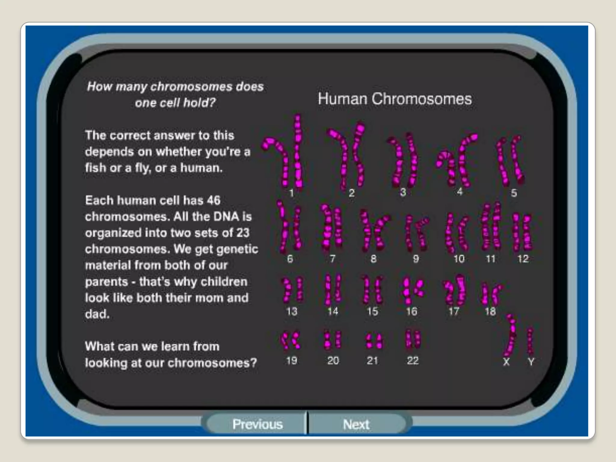 What is a chromosome anyway