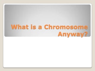 What is a Chromosome
              Anyway?
 