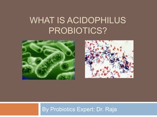 WHAT IS ACIDOPHILUS
PROBIOTICS?
By Probiotics Expert: Dr. Raja
 