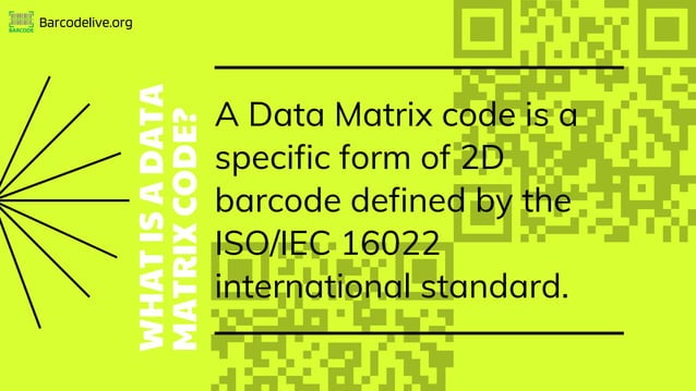 WHAT IS A DATA MATRIX CODE? | PDF | Technology & Computing