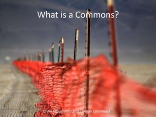 What is a commons? For Museum Commons: A Professional Interaction ...