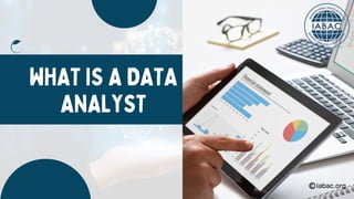 What is a Data Analyst | IABAC Certification | PDF