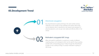 Directional conjugation
By using directional coupling technique, the same number of drug
molecules can be carried on each antibody, and uniform ADC drugs
can be obtained, which is beneficial to the research and evaluation of
pharmacodynamics, and can get more stable and effective effect in the
clinical.
01
Multivalent conjugated ADC drugs
When site-specific modification is carried out, a variety of different
coupling groups can be designed, which can be used for drug coupling
of linker with corresponding groups. Finally, through the diversification
of linker to link a variety of drugs, to achieve multivalent coupling of
ADC drugs.
02
05.Development Trend
www.creative-biolabs.com/adc 12
 