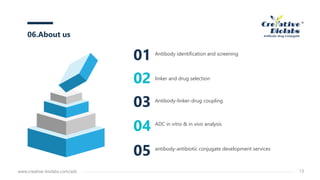 Antibody identification and screening
01
linker and drug selection
02
Antibody-linker-drug coupling
03
ADC in vitro & in vivo analysis
04
antibody-antibiotic conjugate development services
05
06.About us
www.creative-biolabs.com/adc 13
 