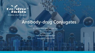 Antibody-drug Conjugates
www.creative-biolabs.com/adc
Antiboby-drug Conjugate
45-1 Ramsey Road, Shirley, NY 11967, USA
Tel: 1-631-381-2994
Fax: 1-631-207-8356
Email: info@creative-biolabs.com
 