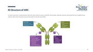 Its main components include antibody, linker and small molecule cytotoxic drug (SM). Among them, antibody molecules mainly play the role of targeted drugs
delivery, while small molecular drugs are responsible for the anti-tumor effect.
02.Structure of ADC
www.creative-biolabs.com/adc 04
 