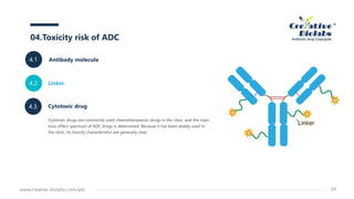 Cytotoxic drug
Cytotoxic drugs are commonly used chemotherapeutic drugs in the clinic, and the main
toxic effect spectrum of ADC drugs is determined. Because it has been widely used in
the clinic, its toxicity characteristics are generally clear.
Linker
Antibody molecule4.1
04.Toxicity risk of ADC
www.creative-biolabs.com/adc 09
4.2
4.3
 