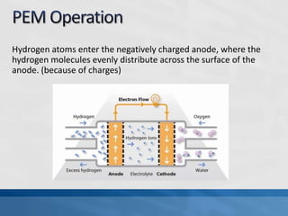 Hydrogen atoms enter the negatively charged anode, where the
hydrogen molecules evenly distribute across the surface of the
anode. (because of charges)
 