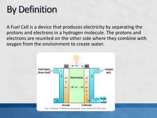 A Fuel Cell is a device that produces electricity by separating the
protons and electrons in a hydrogen molecule. The protons and
electrons are reunited on the other side where they combine with
oxygen from the environment to create water.
 
