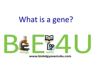 What is a gene?
 