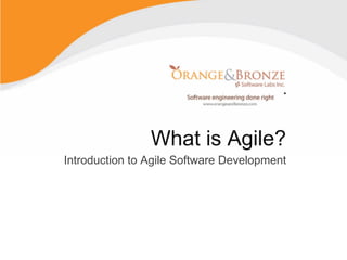 What is Agile?
Introduction to Agile Software Development
 