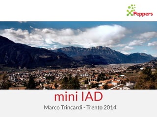 mini IAD
Marco Trincardi - Trento 2014
 