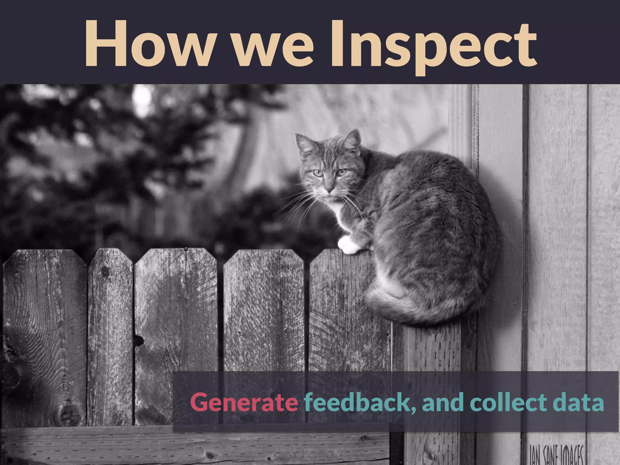 How we Inspect
Generate feedback, and collect data
 