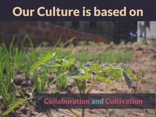 Our Culture is based on
Collaboration and Cultivation
 