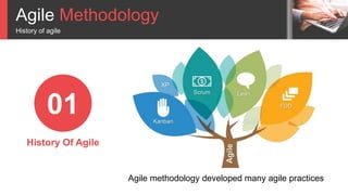 Agile Methodology
History of agile
01
History Of Agile
Agile methodology developed many agile practices
 