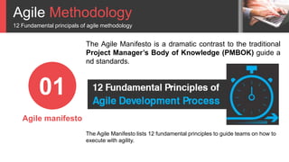 Agile Methodology
12 Fundamental principals of agile methodology
01
Agile manifesto
The Agile Manifesto lists 12 fundamental principles to guide teams on how to
execute with agility.
The Agile Manifesto is a dramatic contrast to the traditional
Project Manager’s Body of Knowledge (PMBOK) guide a
nd standards.
 