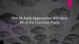 Not All Agile Approaches Will Have
All of the Common Traits
 