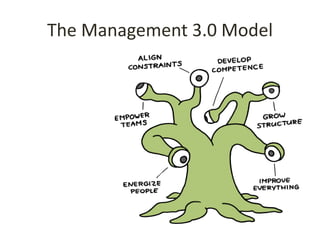 The Management 3.0 Model
 