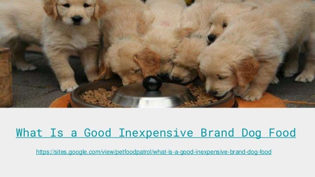 What Is a Good Inexpensive Brand Dog Food
https://sites.google.com/view/petfoodpatrol/what-is-a-good-inexpensive-brand-dog-food
 