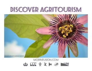 DISCOVER AGRITOURISM
L X S G J I Y
MODINFUSION.com
PASSIFLORA BY HARALD HOYER
 