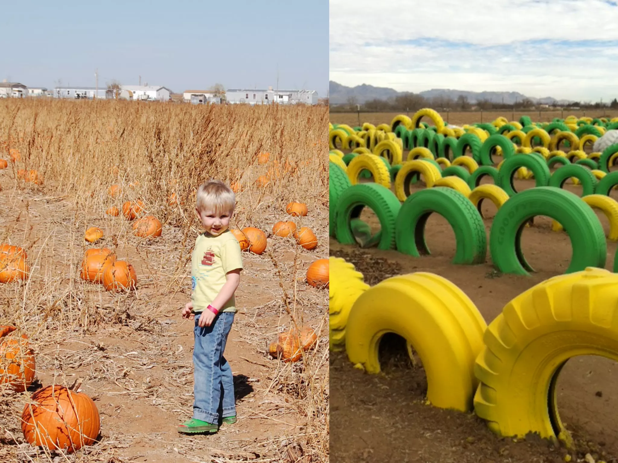 What Is Agritourism PPT what-is-agritourism-ppt