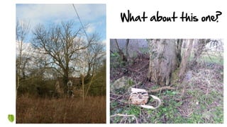 What about this one?
 