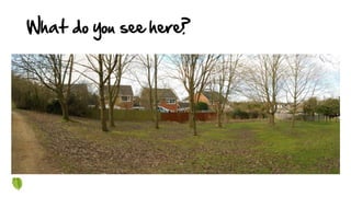 What do you see here?
 