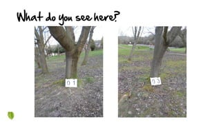 What do you see here?
 