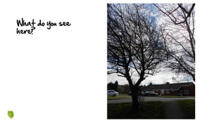 What do you see
here?
 