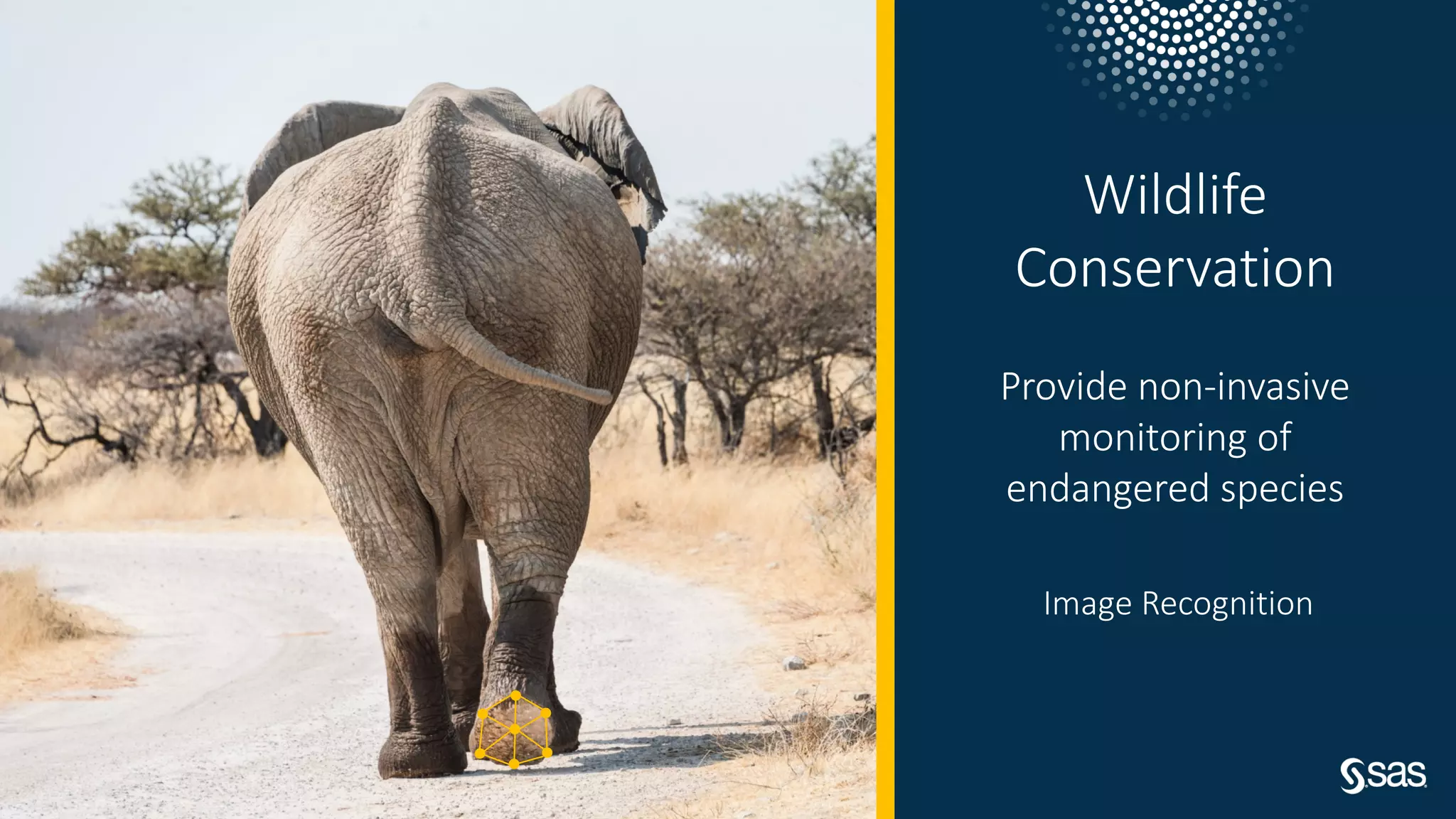 Copyright © SAS Institute Inc. All rights reserved.
Wildlife
Conservation
Provide non-invasive
monitoring of
endangered species
Image Recognition
 