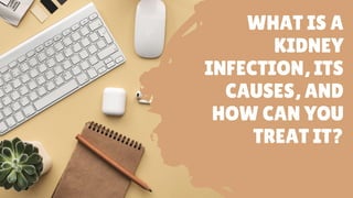 WHAT IS A
KIDNEY
INFECTION, ITS
CAUSES, AND
HOW CAN YOU
TREAT IT?
 