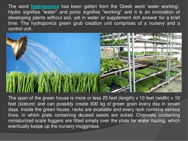 What Is A Fodder Hydroponics
