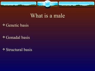 What is a male ,[object Object],[object Object],[object Object]