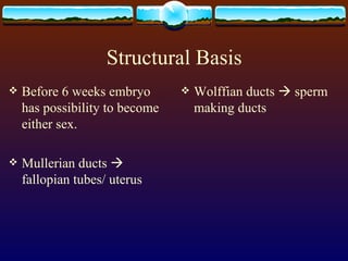 What Is A Male PPT 