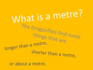 What is a metre? The Dragonflies find some things that are longer than a metre, shorter than a metre, or about a metre, 