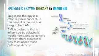 Acute Myeloid Leukemia (AML): Cancer of the Blood & Bone Marrow | PDF