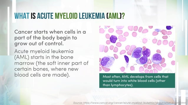 Acute Myeloid Leukemia (AML): Cancer of the Blood & Bone Marrow | PDF ...