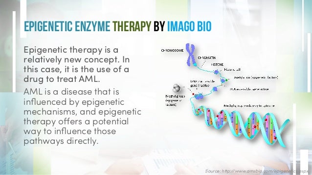 Acute Myeloid Leukemia (AML): Cancer of the Blood & Bone ...