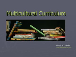 Multicultural Curriculum By Marcelo Valdivia [email_address] 