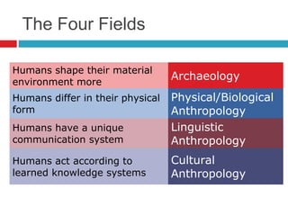 What Is An Anthropologist? | PPT