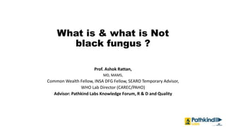 What is & what is Not
black fungus ?
Prof. Ashok Rattan,
MD, MAMS,
Common Wealth Fellow, INSA DFG Fellow, SEARO Temporary Advisor,
WHO Lab Director (CAREC/PAHO)
Advisor: Pathkind Labs Knowledge Forum, R & D and Quality
 
