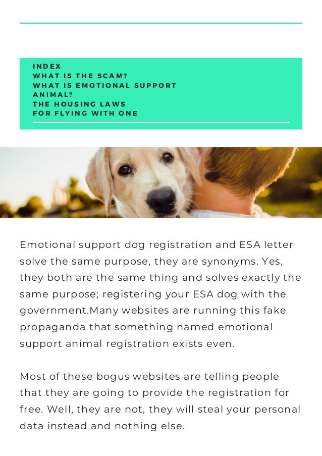 registering a support dog