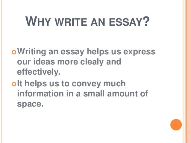 What is an Essay