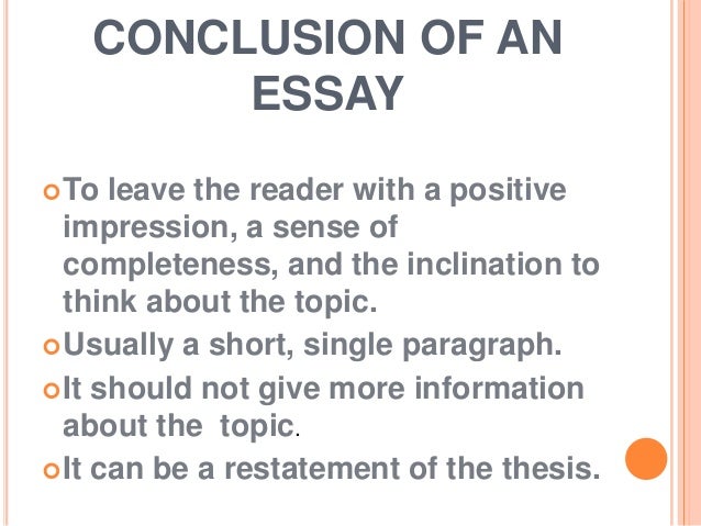 What is an Essay